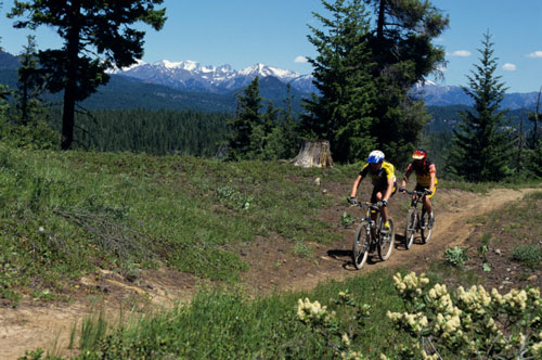 5 Reasons to Bike
