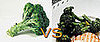 Raw vs. Cooked: Veggie Edition