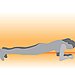 All Abs: Elbow Plank