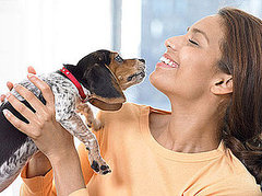 Playing With Pets Reduces Stress Playing With Pets Reduces Stress