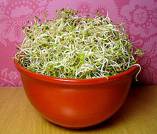 How to Make Your Own Alfalfa Sprouts