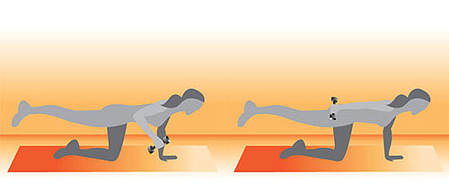 Balancing Tricep Kickback Exercise