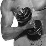 Get Over Your Fear of the Weight Room