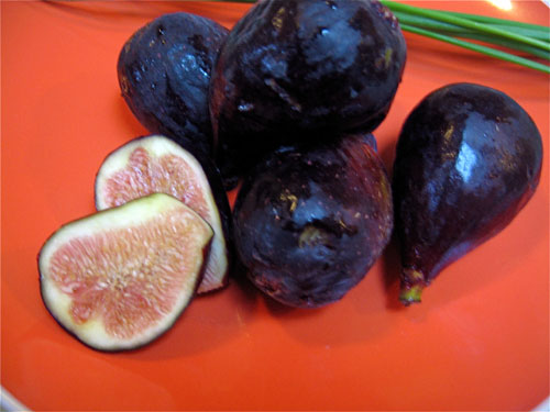 Learn to Love Figs