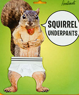 Product of the Day: Squirrel Underpants
