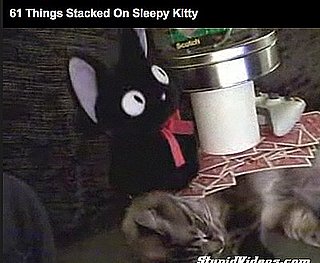 Guy Stacks 61 Things on His Sleeping Kitty