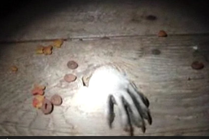 Creepy Hand Snatches Food
