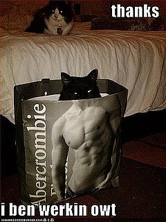 It's My Dream Man!
