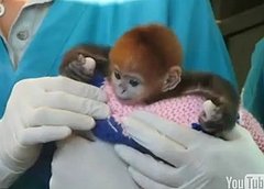 Someone Just Won the Cute Olympics
