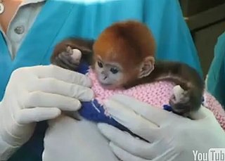 Someone Just Won the Cute Olympics