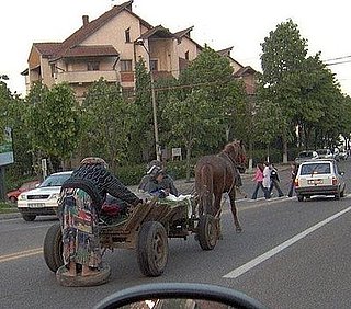 WTF?!