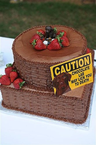 Chocolate Basketweave Groom's Cake
