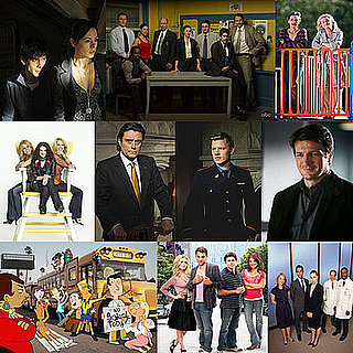 2009 Spring TV Shows