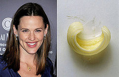 Jennifer Garner to Star in Butter-Carving Comedy 