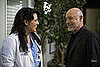 Grey's Anatomy Recap: Season 5, Episode 20, "Sweet Surrender"