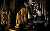 Will You Wait Two Extra Weeks to See Harry Potter in IMAX?