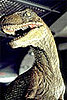 Jurassic Park Sequel