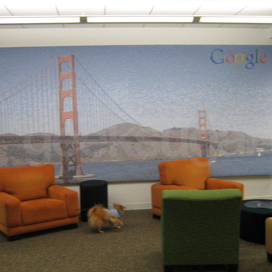 Ten Reasons Why I Love Google's San Francisco Office Ten Reasons Why I Love Google's San Francisco Office