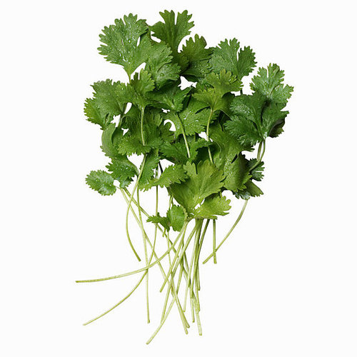 Cilantro Poll