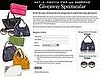 Win a Fab Chloe Bag and Sunnies From ShopStyle and Net-a-Porter! 