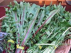 How to Enjoy Dandelion Greens