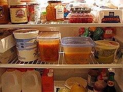 Artist Mark Menjivar's Refrigerator Study