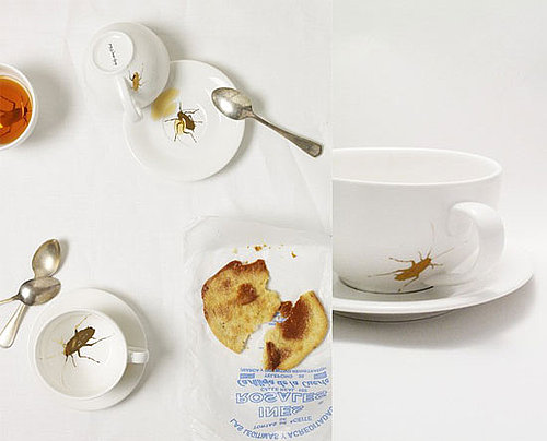 Roaches Cup and Saucer: Love It or Hate It? 