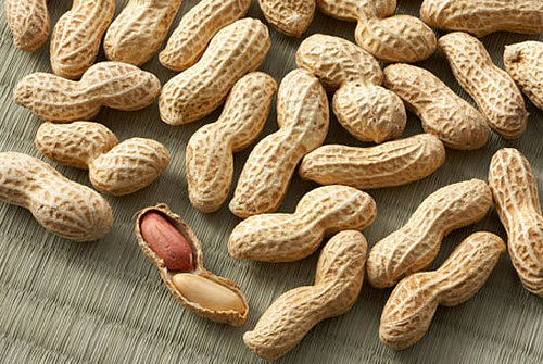 Are Inspectors to Blame For the Peanut Salmonella Outbreak?