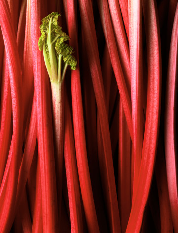 Yummy Links: From Rhubarb to the Swine Flu