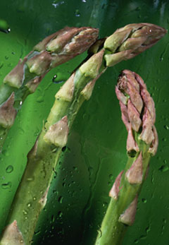 5 Things About Asparagus