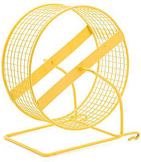 Pet Peeves: My Hamster Hates Her Wheel!