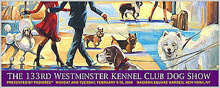 Think You Know Westminster, Part II?