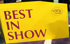 Stump the Sussex Spaniel Is the Best In Show Winner of the 133rd Westminster Kennel Club Dog Show Stump the Sussex Spaniel Is the Best In Show Winner of the 133rd Westminster Kennel Club Dog Show