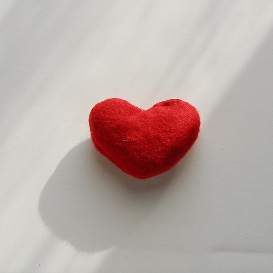 Bunny Hearts, Too Bunny Hearts, Too