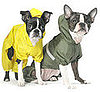 Bare Bones: Raincoat Roundup 