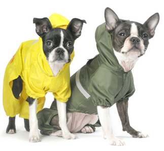 Bare Bones: Raincoat Roundup 