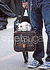 Mickey Rourke and Jaws the Chihuahua Spotted at LAX