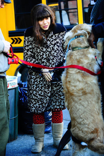 America Ferrera On Ugly Betty Set With Dogs America Ferrera On Ugly Betty Set With Dogs