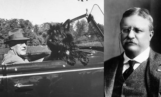 8. Roosevelt