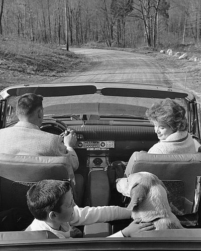 Quick Tip Before Buckling Up . . .