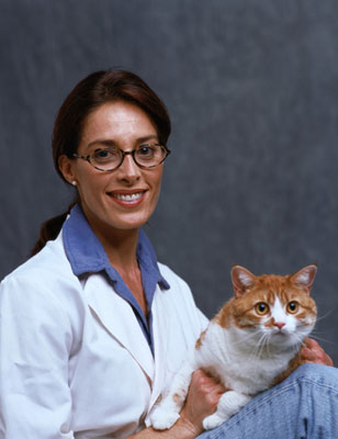 Top 10 Insurance Claims For Dogs and Cats 