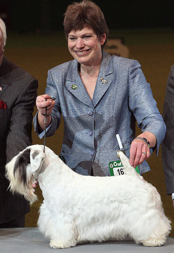 Chamin Wins the 2009 Crufts Dog Show! Chamin Wins the 2009 Crufts Dog Show!