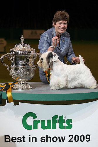 Chamin Wins the 2009 Crufts Dog Show! Chamin Wins the 2009 Crufts Dog Show!