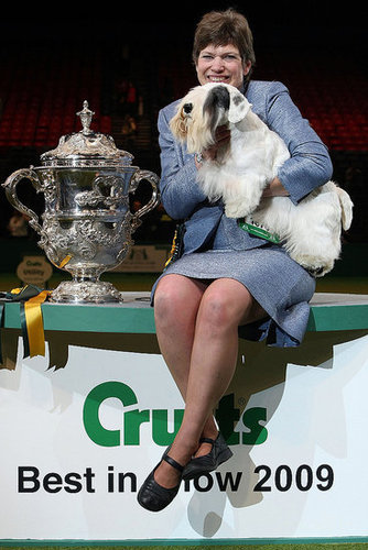 Chamin Wins the 2009 Crufts Dog Show! Chamin Wins the 2009 Crufts Dog Show!