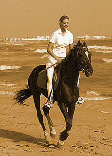 Ever Been Horseback Riding?