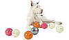 New Product Alert! Orbee Tuff Cosmos Balls