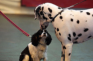 Too Cute for Words!