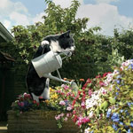 Mrs. Moggs Does All the Chores You Don't Want To . . .