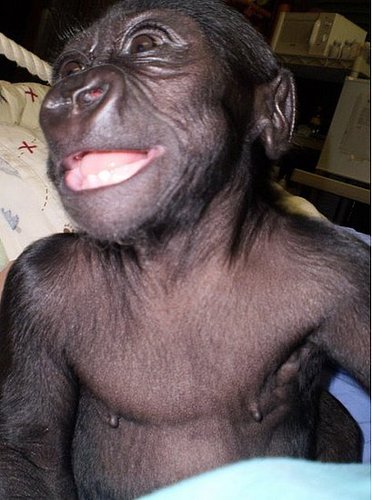 Hasani Needs Pressies! Hasani Needs Pressies!