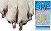 Pet Nail Applique Stickers: Spoiled Sweet or Spoiled Rotten?
